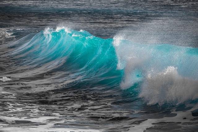 Histórico: Tratado de Alta Mar entra en vigor y Chile busca liderar su implementación