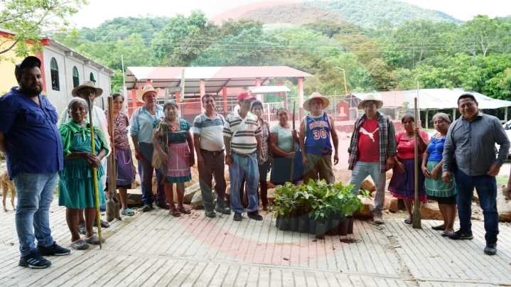 Entregan 500 plantas para reforestar tramo Huejutla