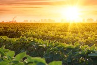 Arkansas Gov. Sarah Huckabee Sanders announces multi-billion-dollar agreement with Taiwan for agricultural products