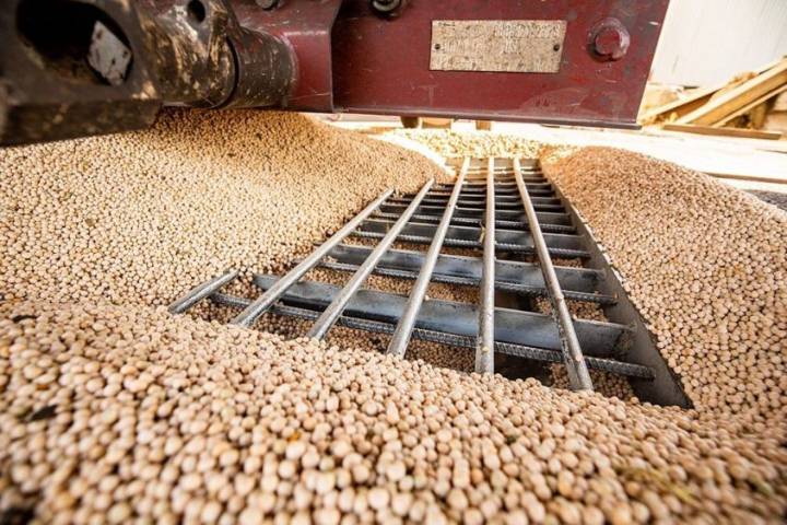 ND, U.S. Farmers Concerned About 2025 Soybean Harvest During Ongoing Tariffs