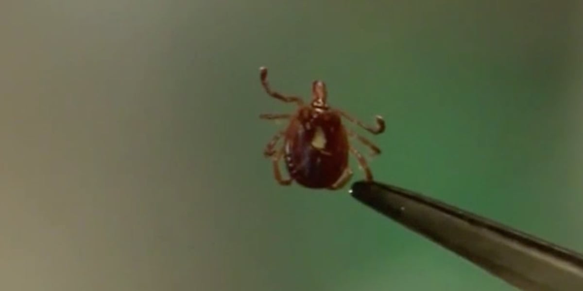 Ill. Dept. of Public Health investigating tick