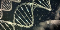 How DNA played a critical role in solving a Meridian Twp. cold case