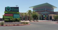 This Las Vegas animal shelter wants to pay you to foster dogs