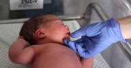 España registra 182.818 nacimientos hasta julio, casi 59.000 menos que hace una década