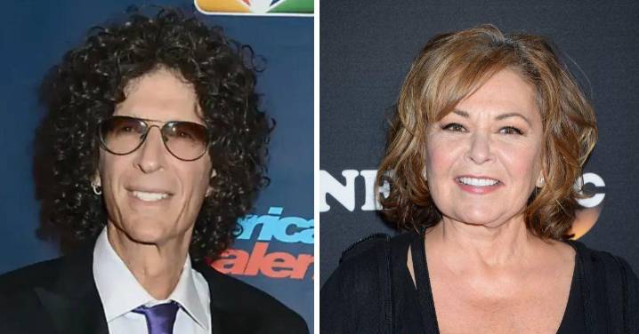 Feud Explodes: Roseanne Barr Says Howard Stern 'Always Sucked' as She Blasts Him in Scathing Message