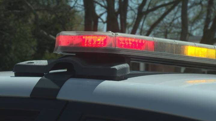 Driver injured as cattle truck overturns at VA-NC border, cattle on loose