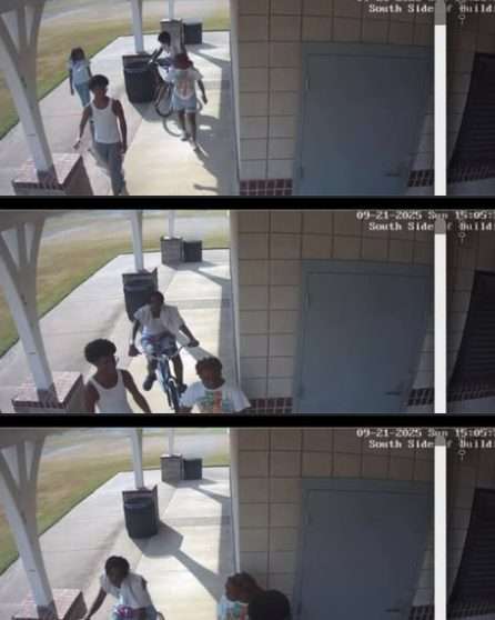 Southaven Police Trying To Identify Individuals Connected to Concessions Stand Fire