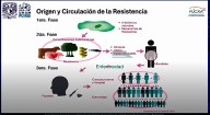 Resistencia antimicrobiana podría conducir a la muerte a diez millones de personas al año, a nivel mundial en 2050
