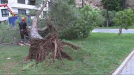 Fuertes lluvias, carreteras cortadas y clases suspendidas en Alicante por un reventón térmico