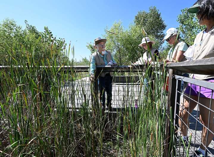 Things to do in the Loveland area Sept. 4: Parks and Open Lands volunteer training; games and story times