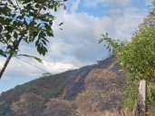 Incendios forestales afectaron ocho municipios del Tolima durante el fin de semana: 154 hectáreas afectadas