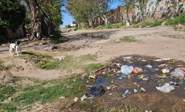 "Abandonados": vecinos de un barrio de Santa Fe denuncian desidia e inseguridad