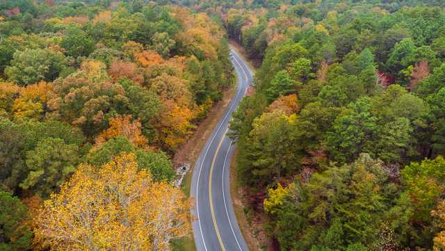 Fall foliage: Alabama route among 6 scenic drives