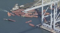 Caen 60 contenedores de barco en Long Beach