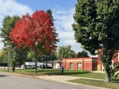 Minn. DNR: ‘There should be plenty of beautiful foliage to enjoy’ this fall