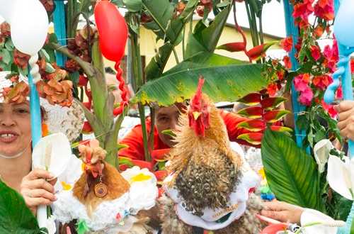 El pueblo colombiano donde las gallinas tienen su propio festival