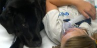 ‘He helps me’: 4th grader shows classmates how Squid the dog helps her through hospital treatments