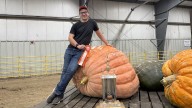 Johnstown, Ont., teen shatters local pumpkin record with 500