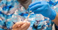 As Florida plans to end all vaccine mandates, W…