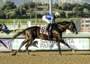 Bob Baffert has weird, winning weekend at Santa Anita
