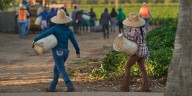 1.2 million immigrants are gone from the US labor force under Trump, preliminary data shows