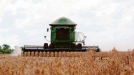 El agro promete casi u$s33.000 millones en exportaciones, pero advierte por la presión fiscal