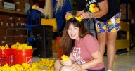 The Great Duck Pluck Fun'raiser benefitting River Fund, Inc. returns Nov. 15 in Bullhead City