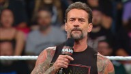 CM Punk: “If You’re A True Professional, You Don’t Have To Even Remotely Like The Guy You Work With”