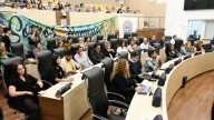 Incendios en las islas: Rosario exigió sanciones y más controles en la audiencia en el Concejo