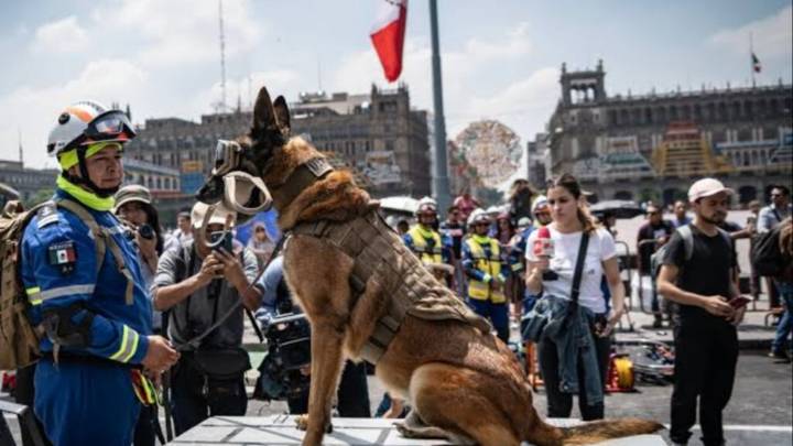 ¿Qué hacer en un edificio alto durante el Simulacro Nacional 2025?