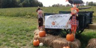 Drought decimates Corinth farm’s pumpkin crop