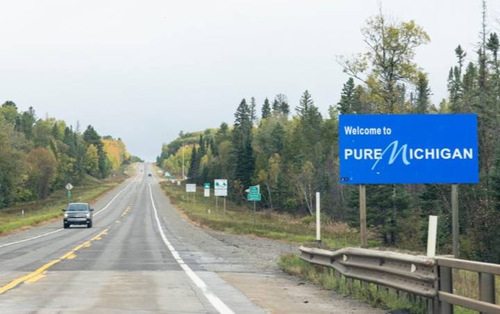 Where the Pure Michigan license plate ranks in popularity in the country