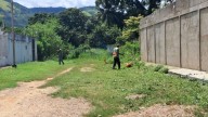 Cuadrillas de la alcaldía ejecutaron jornada de limpieza en el sector Los Molinos de Carúpano (+Fotos)