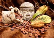 Celebraciones del Día Internacional de la Crianza Respetuosa y el Chocolate en México