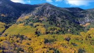 Enamora ‘La Marta’ a turistas; pinta otoño paisajes de Arteaga