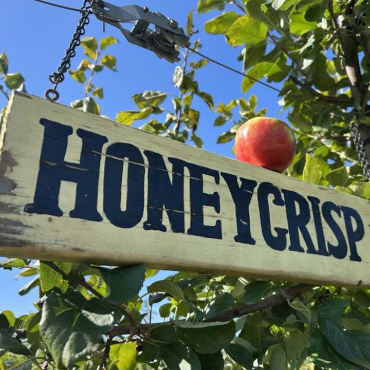 No bad apples here: These are the 15 best apple orchards in Upstate NY, ranked