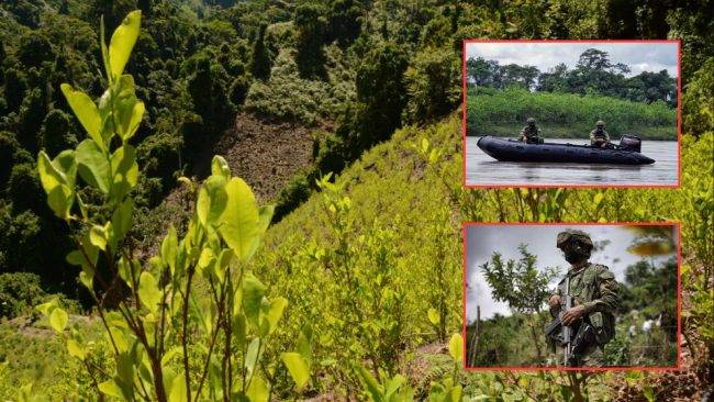 Estados Unidos descertifica a Colombia en la lucha contra las drogas