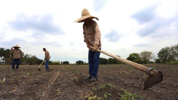 Corte Constitucional avaló la ley estatutaria de jurisdicción agraria, salvo dos artículos sobre aspectos judiciales