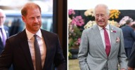 Prince Harry and King Charles Peace Talks Plans Revealed Amid Family Rift