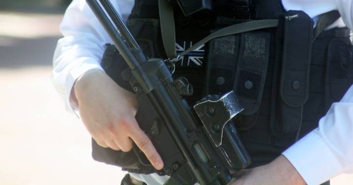 Arrests made after teen 'threatened with knife' as armed police called