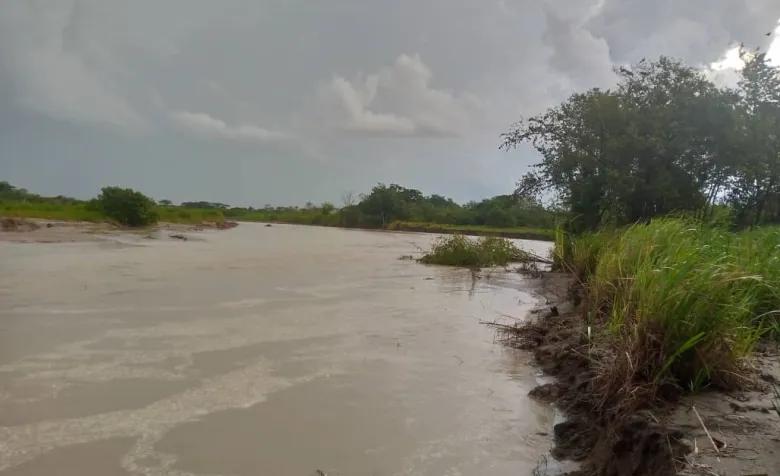 Desborde del río Santo Domingo ahoga la producción ganadera del municipio Obispos en Barinas