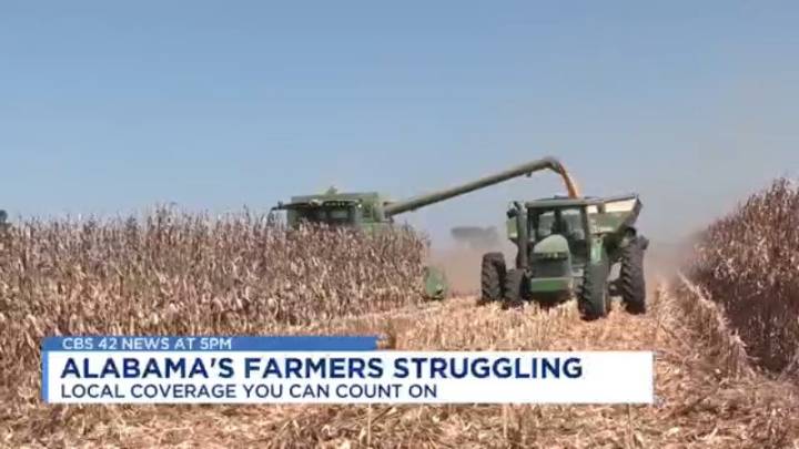 Alabama farmers weather the storm of high costs