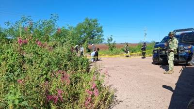 Hallan asesinados a balazos y con los ro…