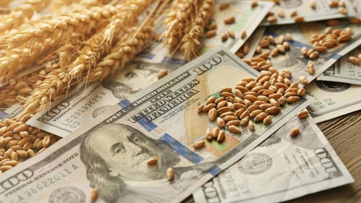 La liquidación de dólares del agro se desplomó en agosto: bajó a u$s1.818 millones, 55% menos que en julio