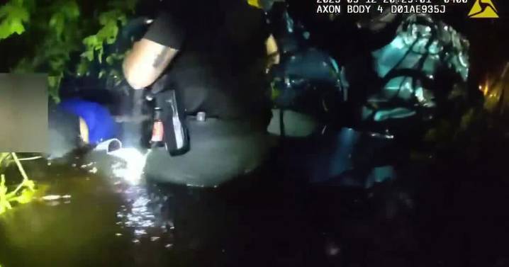 'This is what warriors look like': Martin County deputies rescue crash victims from water