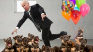 A Touching Gesture: Kamala Harris Just Sent Joe Biden 17 Get Well Soon Puppies