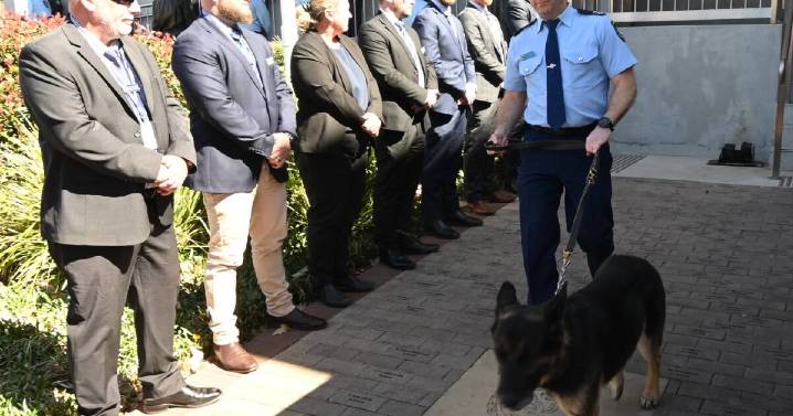 New England Police sniffer dog to be replaced after retirement