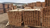 Baja producción maderera en Parral hasta un 20% por falta de demanda