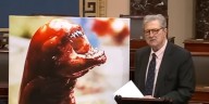 Eating radioactive shrimp could turn you into an alien, Kennedy warns
