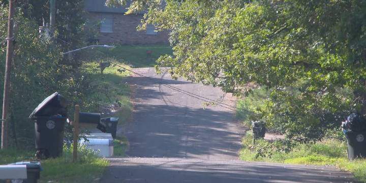22-year-old shot, killed in his bedroom in Birmingham’s Roebuck community Wednesday night